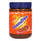 Ovomaltine Crunchy Cream Chocolate 380g