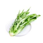 Brightfarms China You Mai Chye 300g