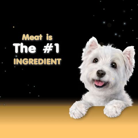 Cesar Salmon with Potato and Carrot Wet Dog Food 100g