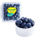 Driscoll's Blueberry 125g