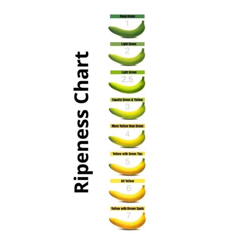 Sunpride Unripe Cavendish Banana (Stage 2-4) 700g