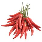 Vietnam Small Red Chilli 100g