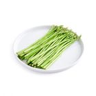 brightfarms Fine Asparagus 100g