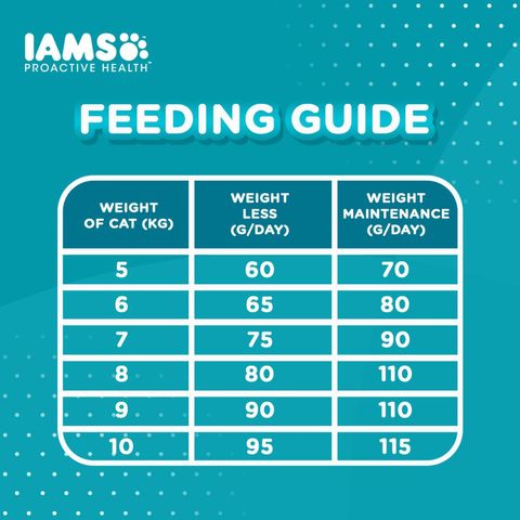 IAMS Indoor Weight & Hairball Care Chicken Dry Cat Food 1kg