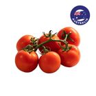 Blush Sabroso Vine Ripened Tomato 500g