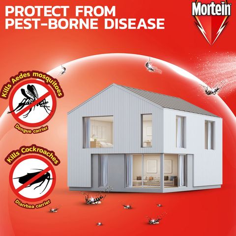 Mortein Ultra Odourless All Insect Killer 600ml