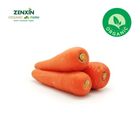 ZENXIN Organic Carrot 400g