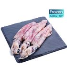 brightfarms Squid (Whole) 450g