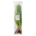 Spring Onion MY 100g