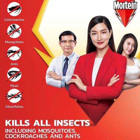 Mortein Ultra Odourless All Insect Killer 600ml