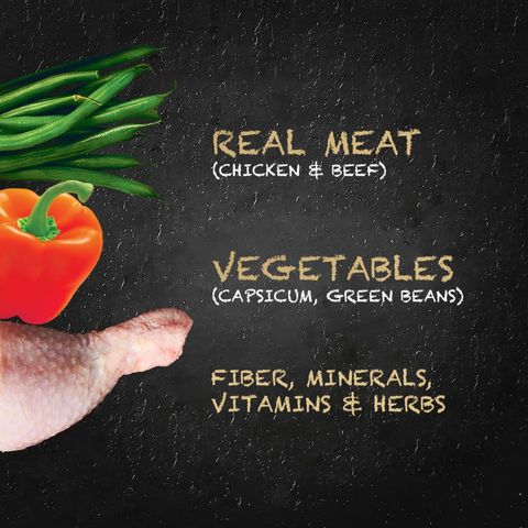 Cesar Naturally Crafted Beef Canned Dog Wet Food 85g