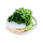brightfarms Green Coriander 100g