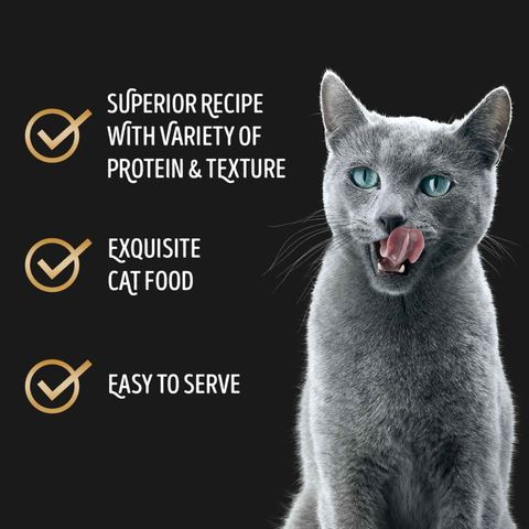 Sheba Tuna Fillet in Jelly, 85g