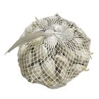 Garlic (Loose) 500g