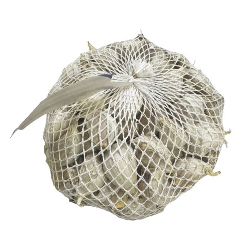 Garlic (Loose) 500g