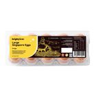 brightfarms Large Singapore Eggs 10pcs x 60g