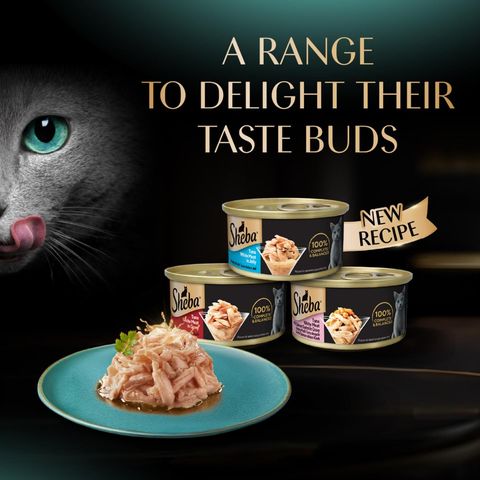 Sheba Tuna White Meat with Chicken in Gravy Canned Cat Wet Food 85g