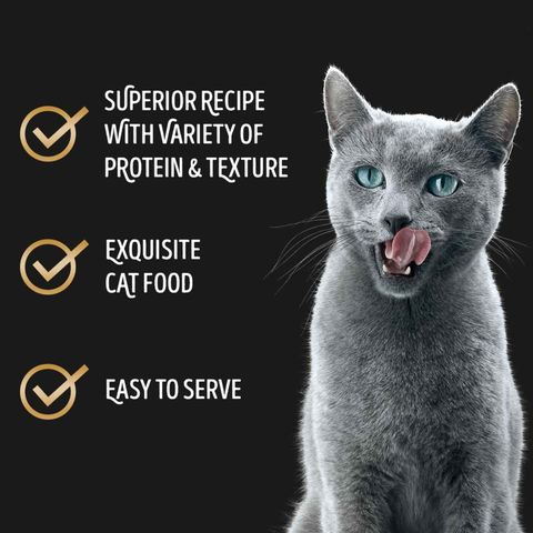 Sheba Tuna with Prawn in Jelly Canned Cat Wet Food 85g
