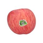 China Fuji Apple 1pc
