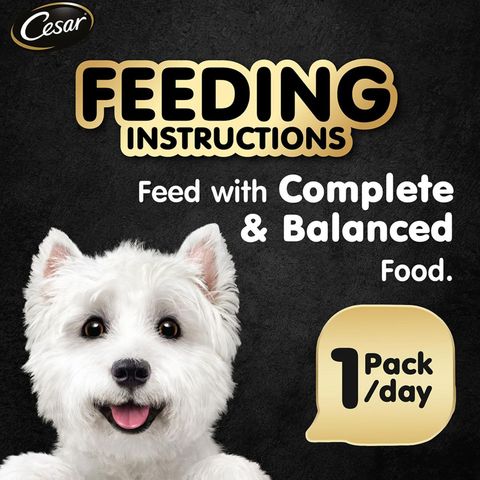Cesar Chicken Canned Wet Dog Food 100g