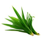 Farm Chef Pandan Leaf Malaysia 150g
