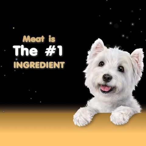 Cesar Tender Lamb with Country Vegetables Canned Dog Wet Food 100g