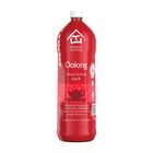 Authentic Tea House Da Hong Pao Oolong 1.5L (Recyclable)