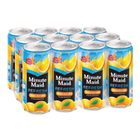 [Carton] Minute Maid Refresh Orange 12 x 300ml (Recyclable)