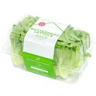 Green Harvest Butterhead Lettuce 180g