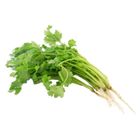 Thailand Coriander 50g