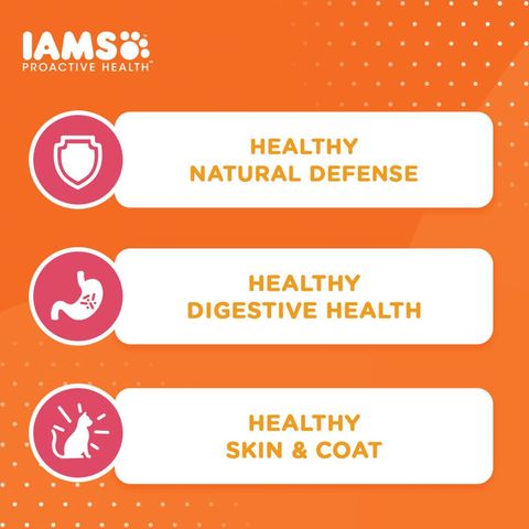 IAMS Healthy Adult Tuna & Salmon  Dry Cat Food 1kg