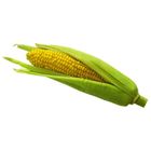 Sweet Corn 1 Piece