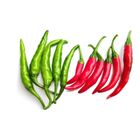 Chilli Padi (Green/Red) 100g