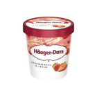 HaagenDazs哈根達斯 草莓品脫杯 1Bucket桶 x 473ml @15#0074570334117