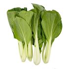 Yongling Farm Organic Black Leaf Cabbage 1 packet @22#4712931750010