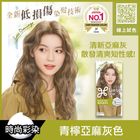 莉婕泡沫染髮劑 青檸亞麻灰色 1 入 #4710363709330