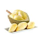 泰國直送鮮凍金枕頭榴槤 300g #4713077309254 #01/030