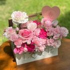 馨中有愛(鮮花) 1 入