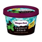 哈根達斯沁涼薄荷巧克力冰淇淋迷你杯 98g