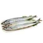 秋刀魚 (3 入/包) 280g #4712780364703#03/036