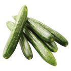 有機小黃瓜(每盒約 300g±10%) 1 盒 @22#4719853589001
