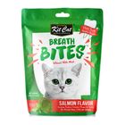 【Kit Cat】薄荷潔牙餅(鮭魚口味) | 60 g #20809867
