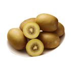 Zespri SunGold Kiwi #25 130g