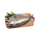 挪威鯖魚一夜干 375g-425g @21#4711499250116