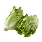 福山萵苣(產銷履歷) 約 250g