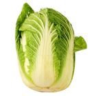 越南山東白菜(粒) 1.2kg @22#2422003293018