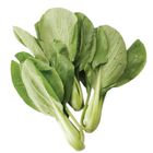 有機青江菜 250g/袋 @22#2422000276014