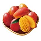 履歷愛文芒果 每盒約 600g±10% @22#4710139760046