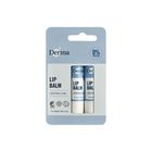 丹麥Derma蜂蠟植萃護唇膏 2 入 x 4.8g