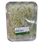 Taiwan Alfalfa Sprouts (Box) 100g @22#4719853589988